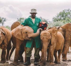 David Sheldrick Elephant Orphanage 