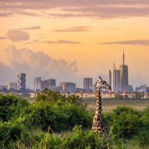 Nairobi National Park 