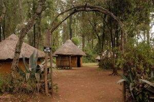 Places to visit and things to do in Nairobi in a day