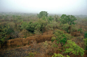 Loropeni Ruins 