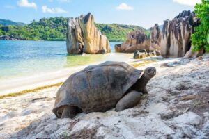 Top 5 Best Places to Visit in the Seychelles