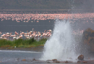 Top 15 Best Lakes in Africa