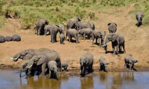 Top 10 Best Places to Visit in Tanzania