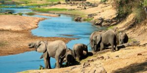 Top 10 Best Places to Visit in Tanzania