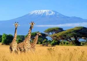 Top 10 Best Places to Visit in Tanzania