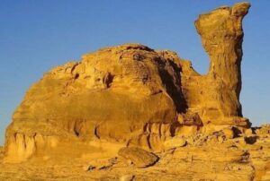 Top 10 Best Places to Visit in Chad