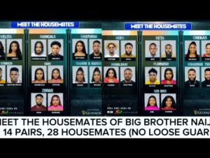 Meet Big Brother Naija Season 9 Housemates