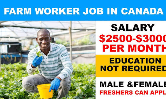 Seasonal Farm Workers Careers with Graduate Visa Sponsorship in Canada