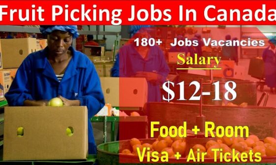 Fruit Picking Jobs in Canada Job Bank Fruit Picker